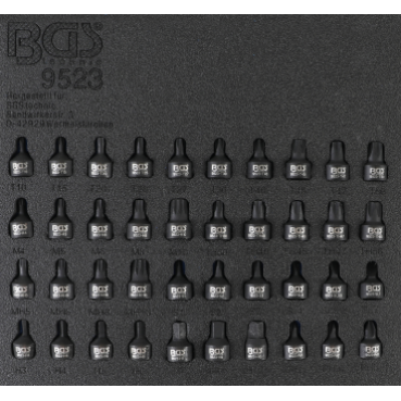 Werkstattwageneinlage 1/6: Kraft-Bit-Einsatz-Satz | Antrieb Innenvierkant 6,3 mm (1/4